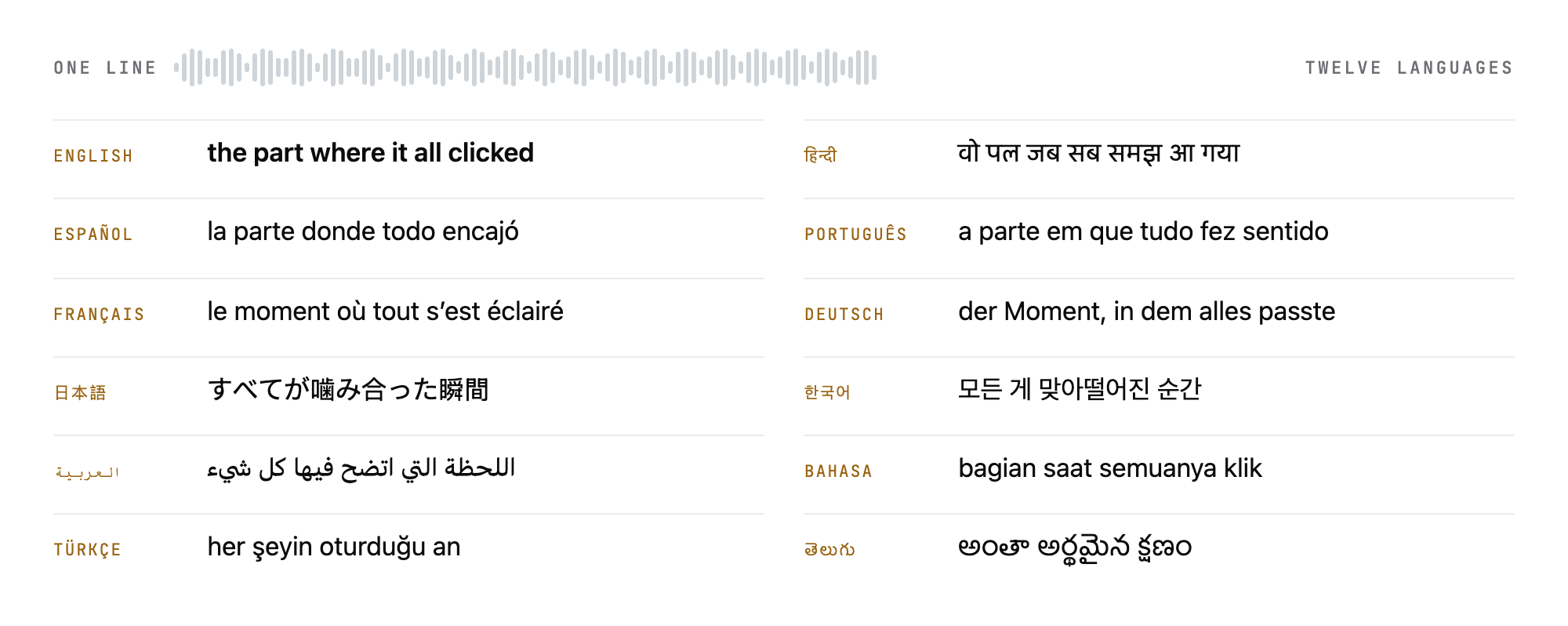 One spoken line, transcribed and captioned in twelve languages